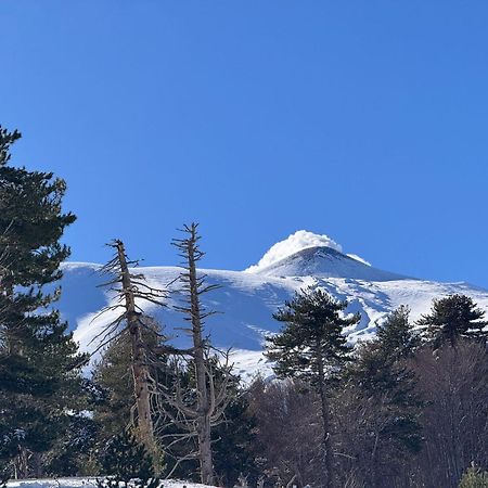 Agriturismo Sole Di Sicilia 兰达佐 外观 照片