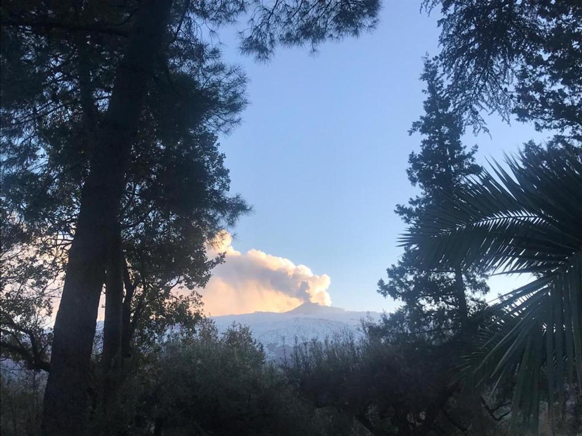 Agriturismo Sole Di Sicilia 兰达佐 外观 照片