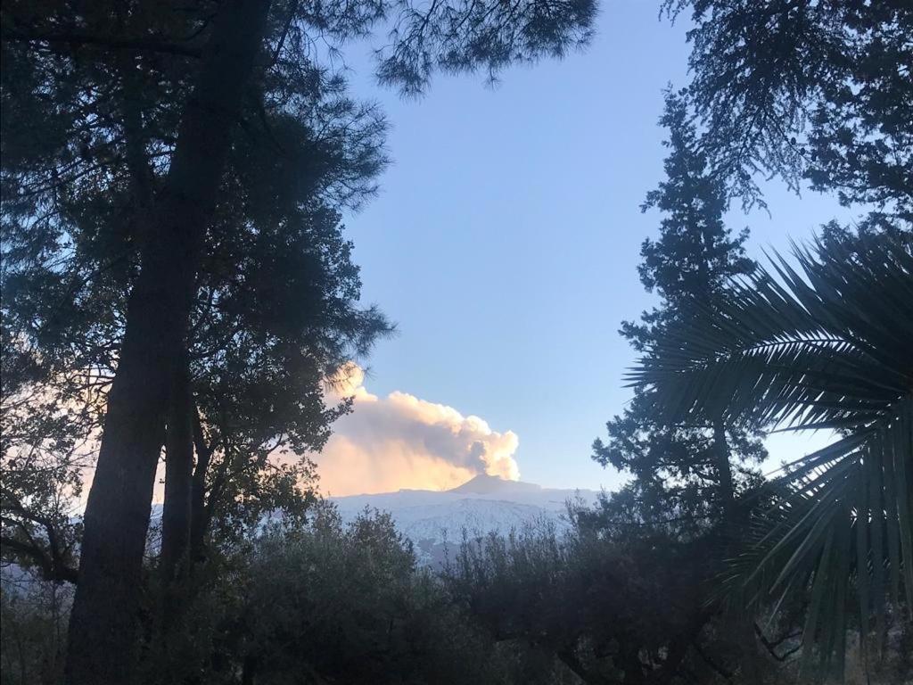 Agriturismo Sole Di Sicilia 兰达佐 外观 照片