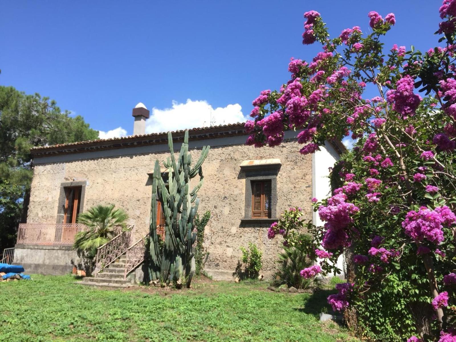 Agriturismo Sole Di Sicilia 兰达佐 外观 照片