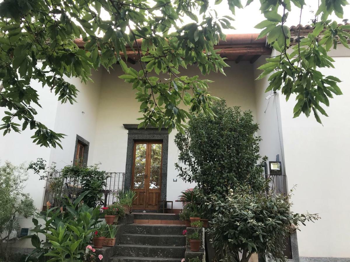 Agriturismo Sole Di Sicilia 兰达佐 外观 照片
